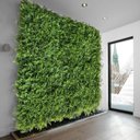 Ver imagem 1 de 6 Painéis Artificiais Premium Jardim Vertical Efeito 3d Realista Fácil de Instalar Decoração Parede