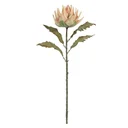 Ver imagem 1 de Protea 72cm Pêssego Florarte Flor Arte