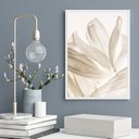 Ver imagem 1 de Quadro Decorativo Pétalas Brancas Fundo Branco 33x24cm - com Vidro:madeira Branca