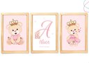 Ver imagem 1 de Kit com 3 Quadros Decorativos do Tema Ursinha Princesa:pinus