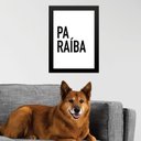 Ver imagem 1 de Quadro Decorativo Tipografia Paraíba 45x34cm - com Vidro:moldura Branca