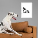 Ver imagem 2 de Quadro Decorativo Tipografia Paraíba 45x34cm - com Vidro:moldura Branca