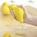 Ver imagem 2 de Espremedor Manual de Frutas e Legumes Walfos, Ferramentas para Cozinha, 1 Peça