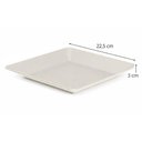 Ver imagem 3 de Prato Plástico Quadrado Bege Sobremesa Saladas 22,5cm ou Avulso para Servir