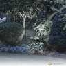 Espeto de Jardim Led 7w Luminatti Ip65 6500k Luz Fria Externo Ip65 - 3
