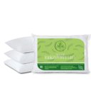Ver imagem 1 de KIT 4 Travesseiros Pluma de Ganso Ecologica Casa Dona 50x70cm 200 fios