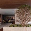 Ver imagem 6 de Forro Teto Leve Base de Polímero Pead Acácia 295cm X 25cm 0,7cm de Espessura Formaco Decor