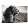 Quadro decorativo Leao Preto e Branco - 1