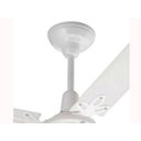 Ver imagem 4 de Ventilador De Teto Economic Ventus Arge