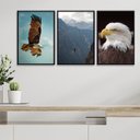 Ver imagem 2 de Kit 3 Quadros Fotografias Águia 33x24cm - com Vidro:madeira Branca