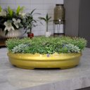 Ver imagem 2 de Vaso Bacia Decorativo Osaka Dourado M 11,5x44x36 cm - D’Rossi