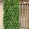 13 Painéis Parede Verde Folhagem Densa Linha Premium Fácil Instalação para Jardim Vertical Interno - 1