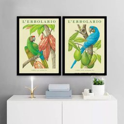 Kit 2 Quadros Botânicos Araras Tropicais 33x24cm:moldura Preta - 1