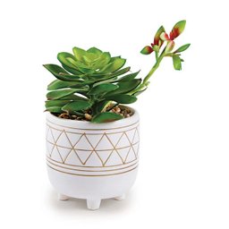 Cachepot em Cerâmica Com Suculenta Permanente 11654 Mart - 1