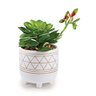 Cachepot em Cerâmica Com Suculenta Permanente 11654 Mart - 1