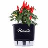 Kit Vaso Autoirrigável Pimenta - 1