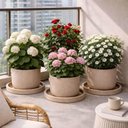 Ver imagem 2 de Kit 4 Pratos Grandes para Vaso de Flor Folhagem Jardim Polietileno Tramontina Areia