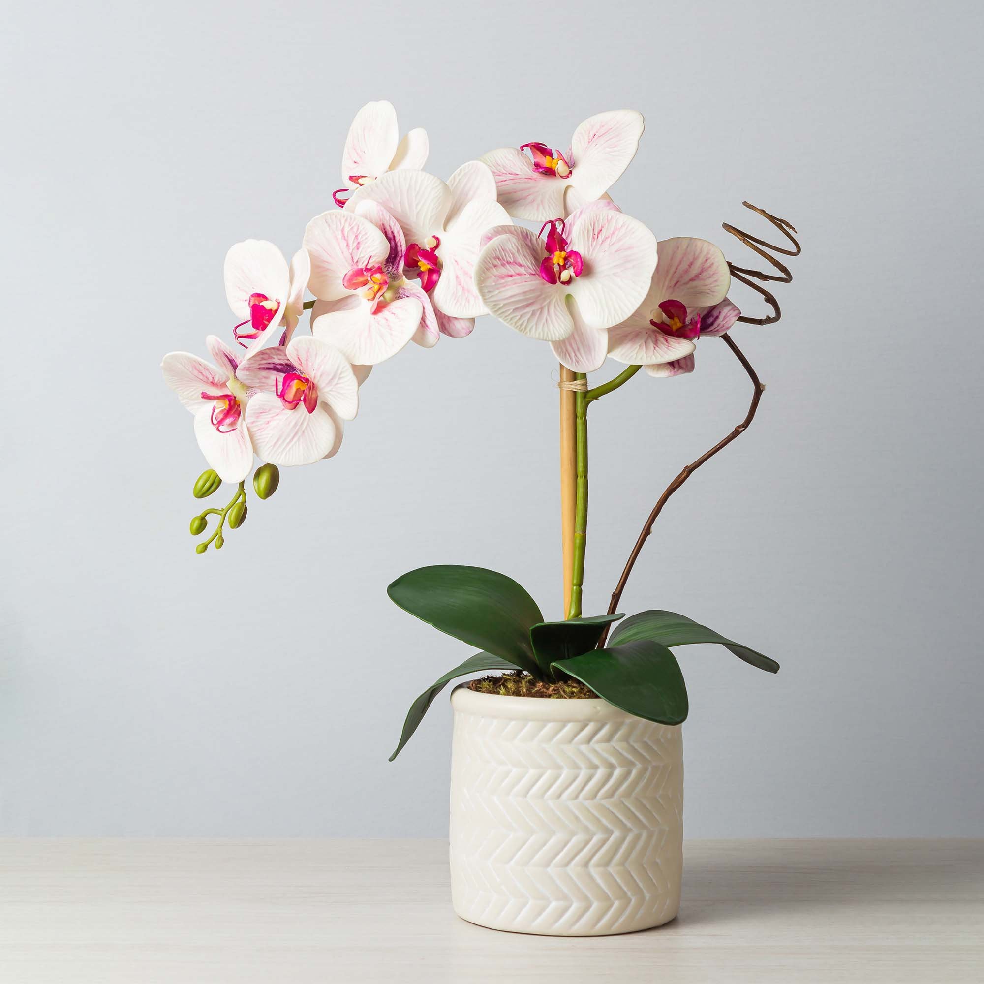 Arranjo de Orquídea Artificial no Vaso Off-White Beng Flores