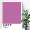 Quadros decorativo arte pantone lilás primavera açafrão - 1