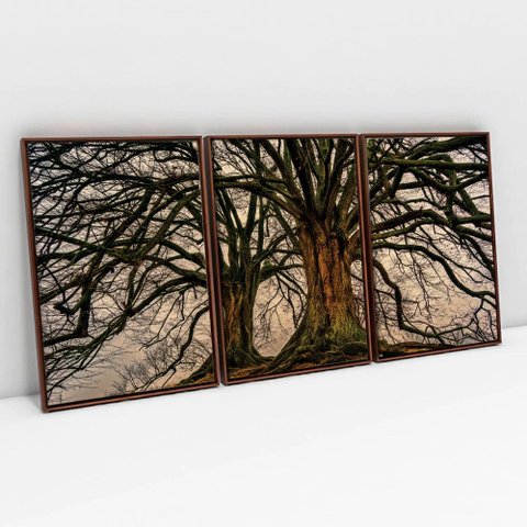 Kit Quadro Decorativo 3 Telas Canvas Arvore da Vida e Suas Raízes Tacolado Moldura Flutuante 4,5cm M