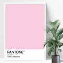 Ver imagem 1 de Quadros decorativo arte pantone cereja