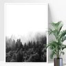 Quadros decorativo árvores floresta neblina - 1