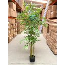 Ver imagem 6 de Bambu Artificial Realista Decoração Planta com 1.60 Metros, Planta Decorativa para Casa.