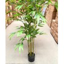 Ver imagem 7 de Bambu Artificial Realista Decoração Planta com 1.60 Metros, Planta Decorativa para Casa.
