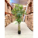 Ver imagem 5 de Bambu Artificial Realista Decoração Planta com 1.60 Metros, Planta Decorativa para Casa.