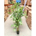 Ver imagem 4 de Bambu Artificial Realista Decoração Planta com 1.60 Metros, Planta Decorativa para Casa.