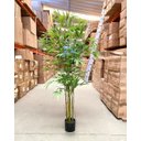 Ver imagem 2 de Bambu Artificial Realista Decoração Planta com 1.60 Metros, Planta Decorativa para Casa.