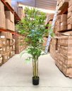 Ver imagem 2 de Bambu Artificial Realista Decoração Planta com 1.60 Metros, Planta Decorativa para Casa.