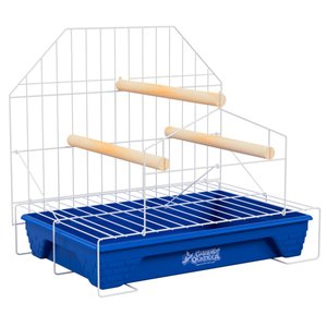 Poleiro para Calopsita Playground com Bandeja Plástica - Azul