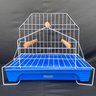 Poleiro para Calopsita Playground com Bandeja Plástica - Azul - 5