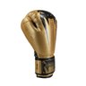 Luva de Boxe Venum Giant Evo Pro - Dourado - 5