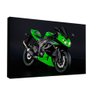 Quadro Kawasaki Ninja Verde Br Artes - 1
