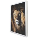 Ver imagem 2 de Quadro Decorativo Rei Leão em Moldura Caixa Tacolado Moldura Trad 1cm Preta sem Vidro 40 X 60cm
