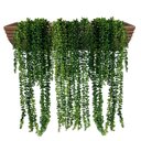 Ver imagem 1 de 3 Plantas Pendentes Artificiais Colar de Perolas
