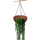 Ver imagem 7 de 3 Plantas Pendentes Artificiais Colar de Perolas