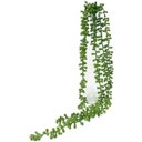 Ver imagem 5 de 3 plantas pendentes artificiais colar de perolas