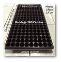 Ver imagem 2 de Kit 40 Bandeja Sementeira Para Produção De Mudas 200 Células