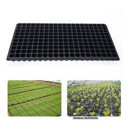 Kit 40 Bandeja Sementeira Para Produção De Mudas 200 Células - 3