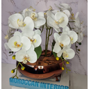 Ver imagem 3 de Arranjo Com 4 Orquídeas Branca Vaso Cobre 28cm