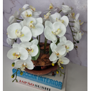Ver imagem 2 de Arranjo Com 4 Orquídeas Branca Vaso Cobre 28cm