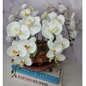 Arranjo Com 4 Orquídeas Branca Vaso Cobre 28cm - 2