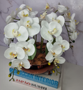 Ver imagem 2 de Arranjo Com 4 Orquídeas Branca Vaso Cobre 28cm