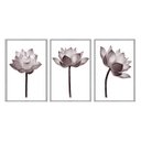 Ver imagem 1 de Kit 3 Quadros Decorativos - Flor de Lotus Rose Minimalista Flnt004 - Tela Canvas - 40x60cm