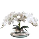 Ver imagem 1 de Arranjo Grande 50cm 4 Flores de Orquídeas Real Branca Vaso