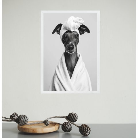 Quadro para Banheiro Cachorrinha de Roupão 45x34cm - com Vidro:moldura Preta