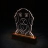 Luminária Golden Retriever Oficina 021 - 3